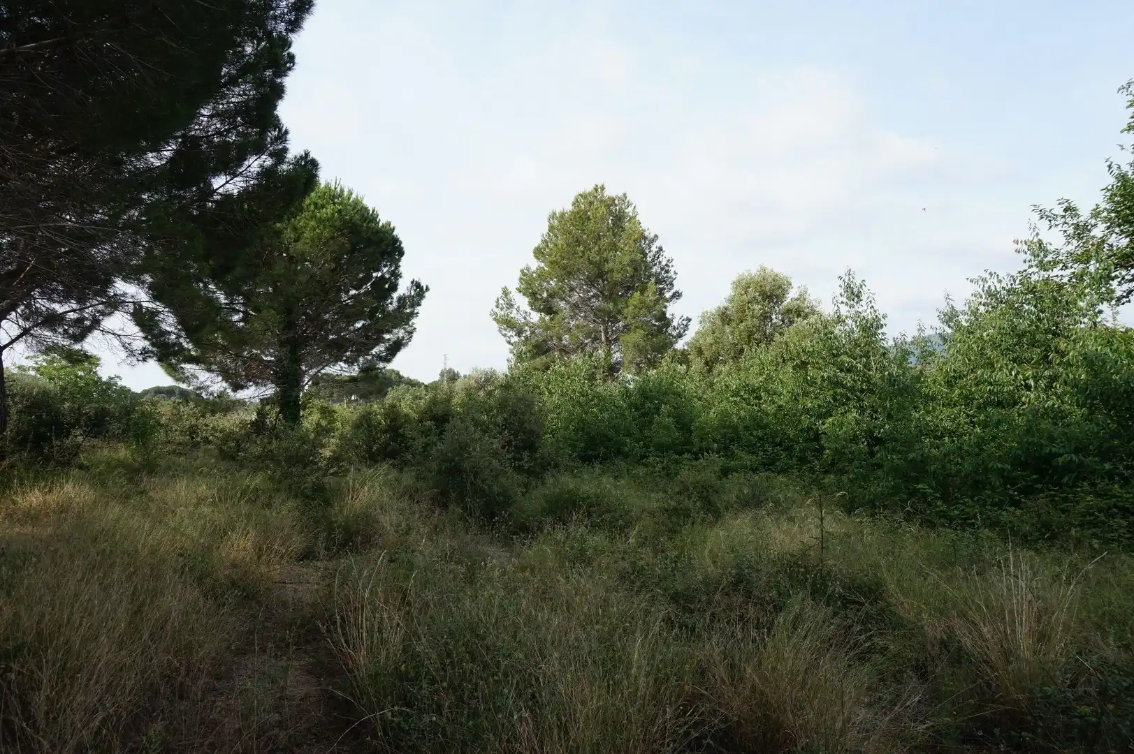 Maison rustique à vendre à Les Borges del Camp, imagen 11