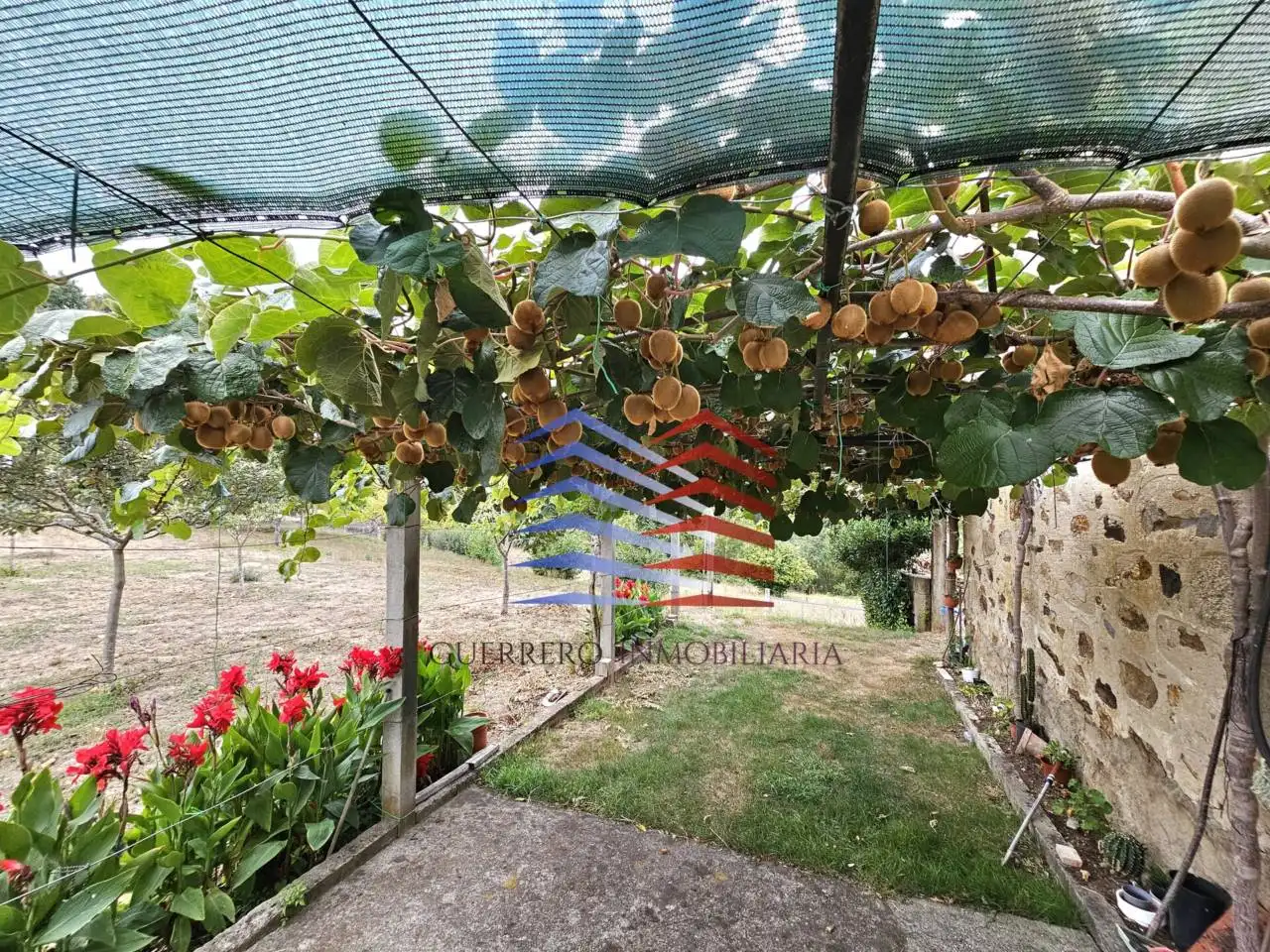 Jardí de Casa o xalet en venda en Celanova amb Jardí privat i Terrassa