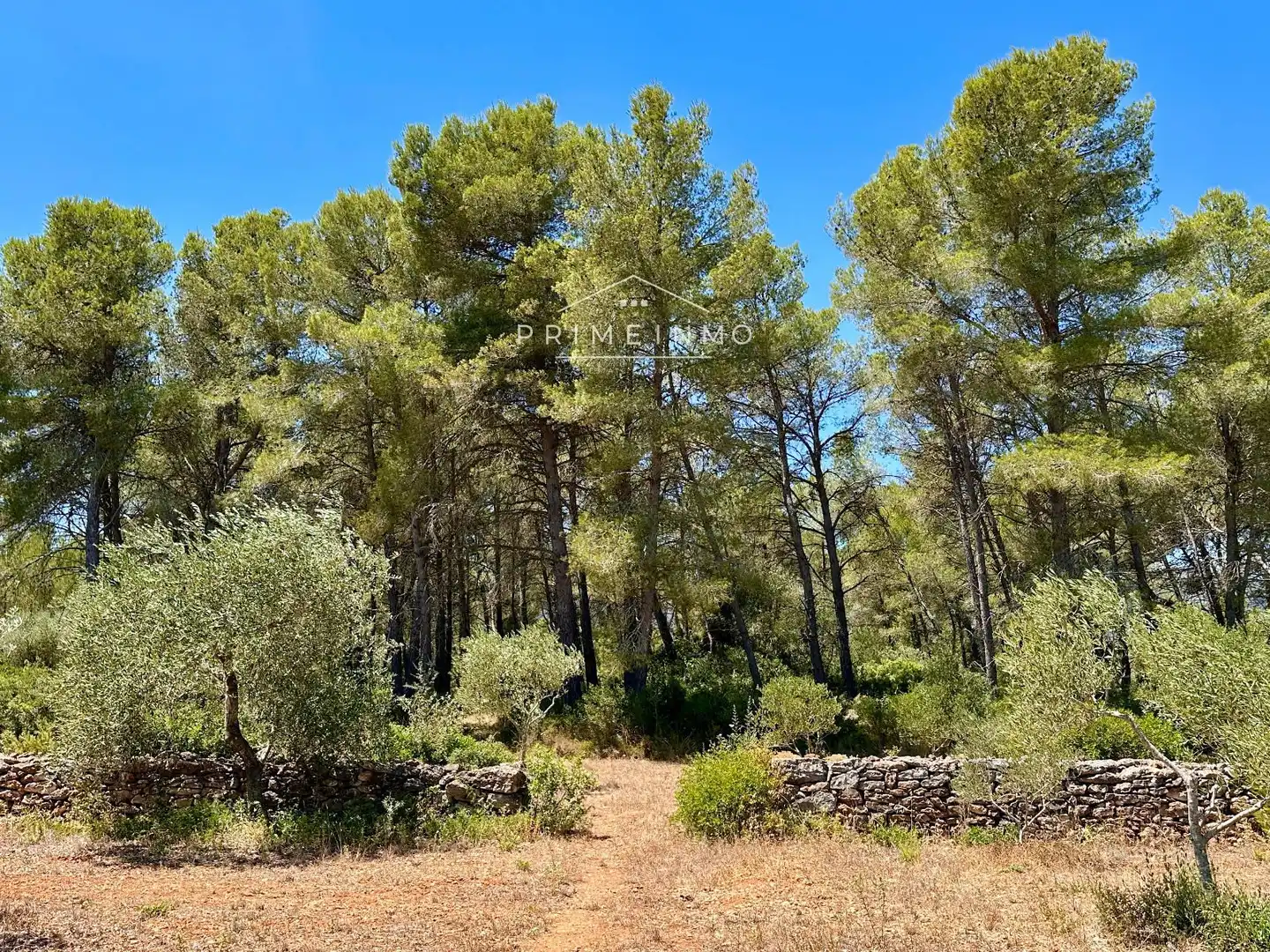 Finca rústica en venda en El Perelló amb Terrassa, Traster i Piscina