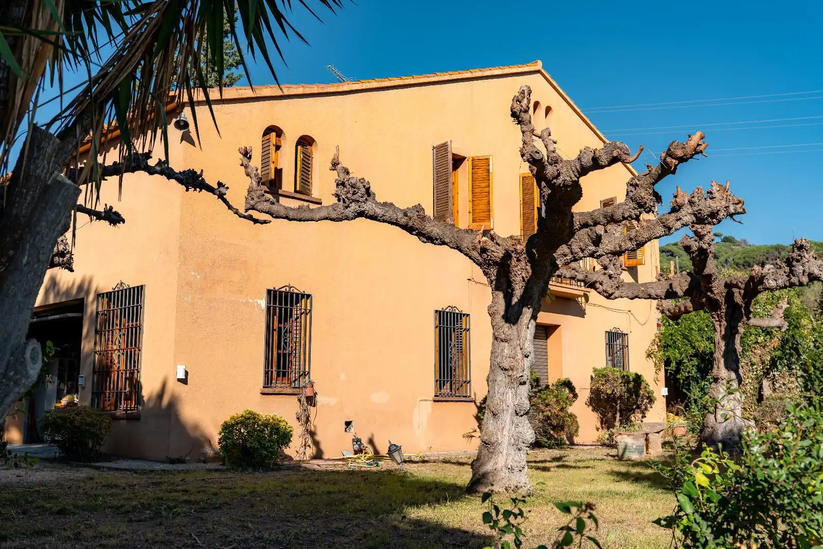 Vista exterior de Finca rústica en venta en Argentona con Calefacción, Jardín privado y Terraza