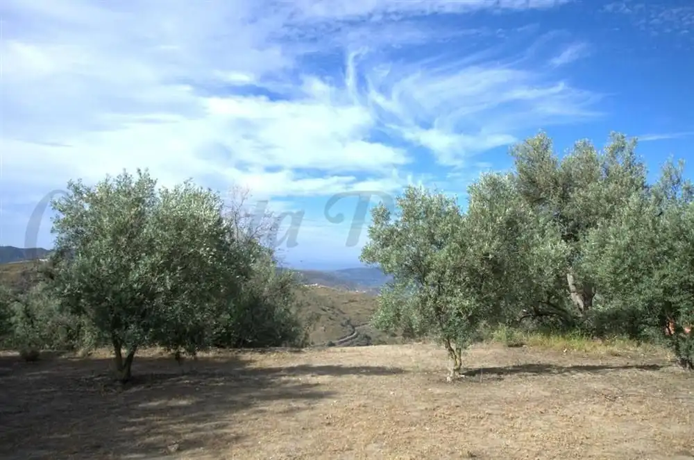 Terreno residencial en venta en Canillas de Aceituno, imagen 5