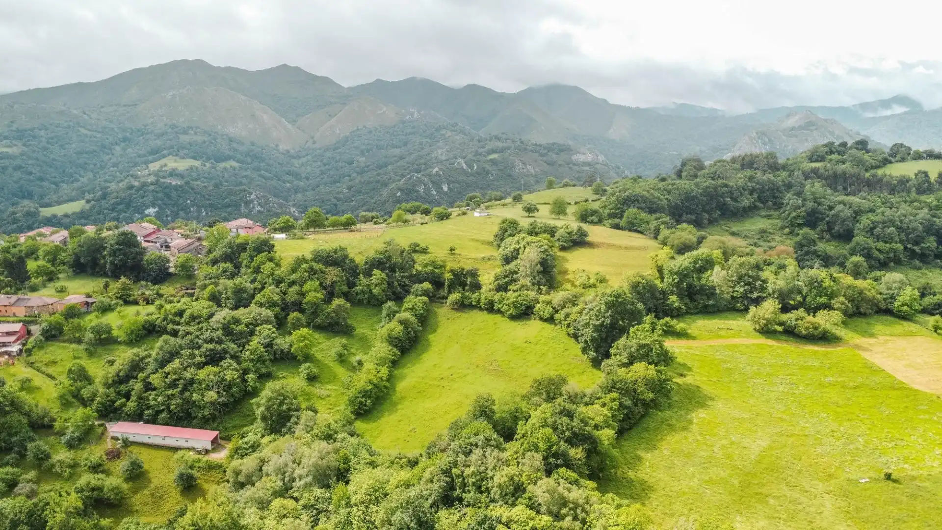 Rural land for sale in Lugar Areñes, imagen 31