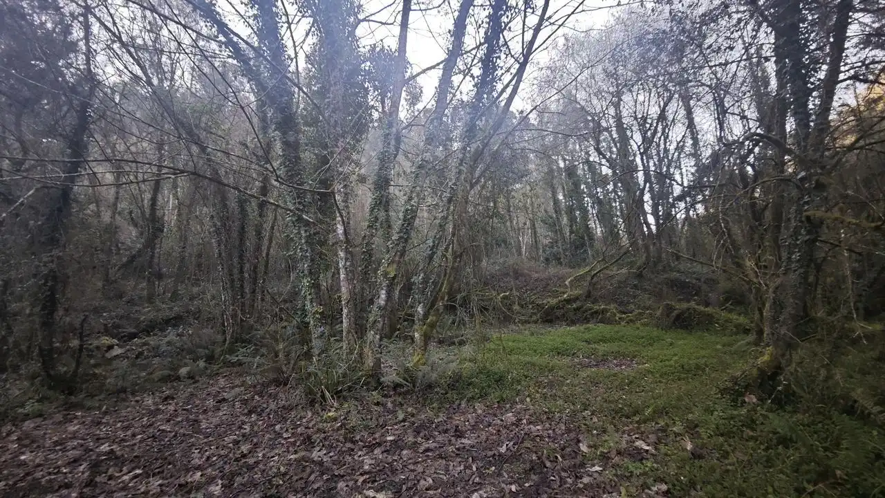 Terreno rustico in vendita a Pría - Nueva-Hontoria - Naves, imagen 4