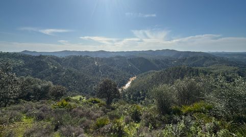 Photo 5 of Land for sale in Calle Don Jose Troyano, Calañas, Huelva