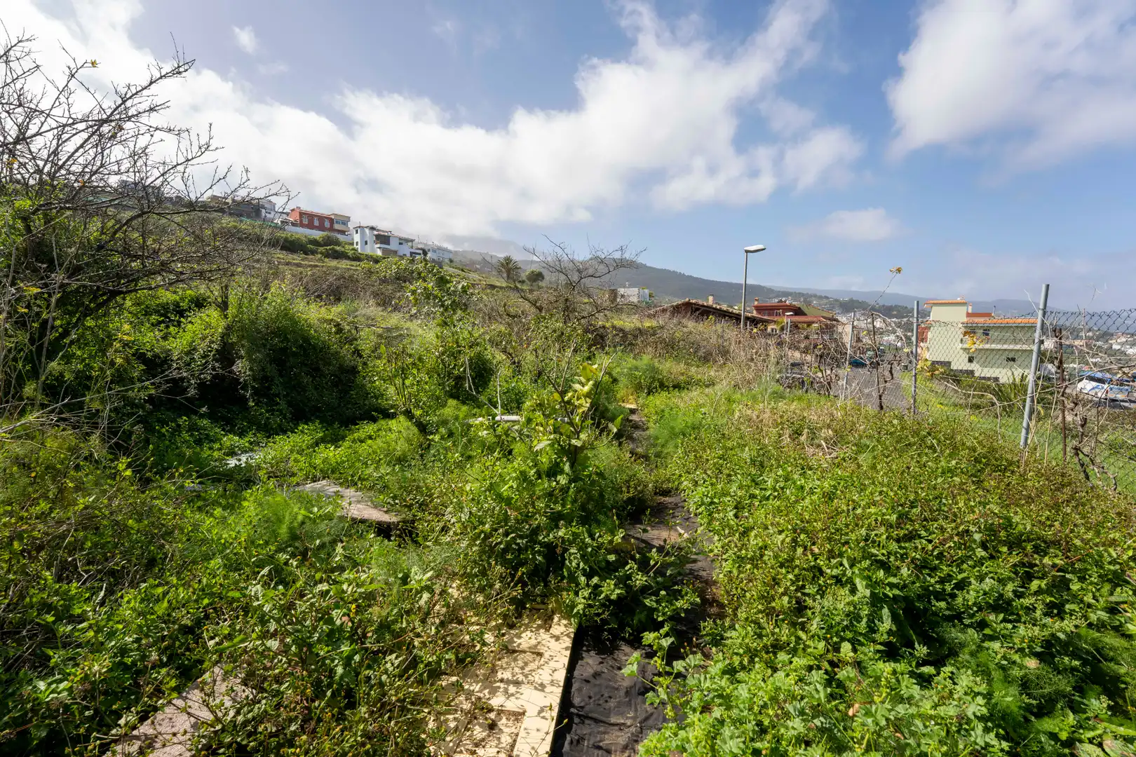 Villa avec terrasse à vendre à Carretera la Vera Baja, imagen 78