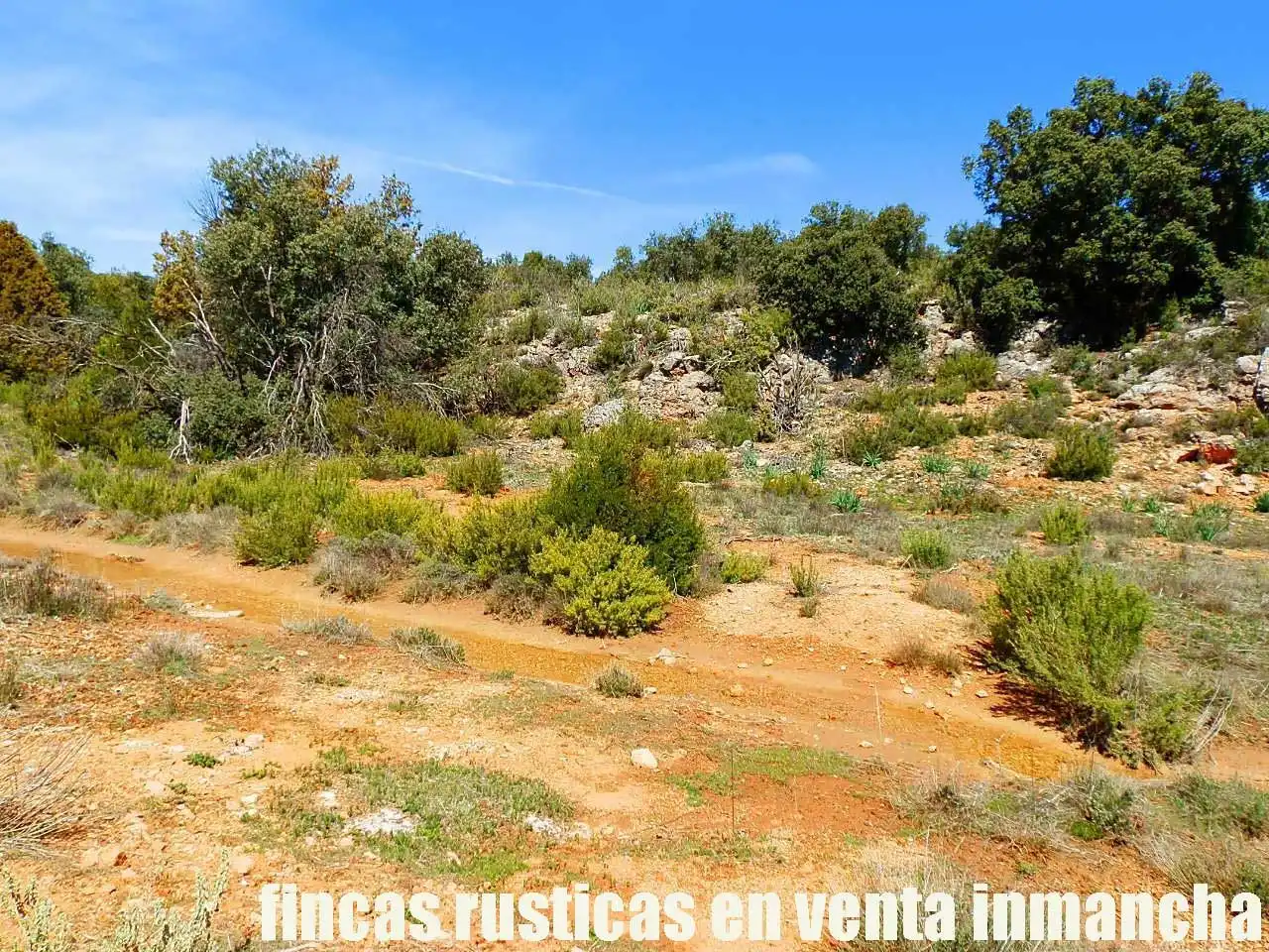 Lands and plots for sale in Ossa de Montiel, imagen 14