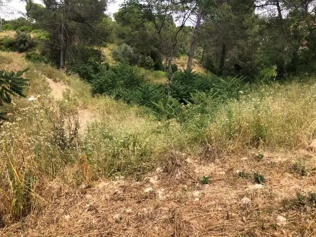 Terreno residenziale in vendita a Sud, imagen 25