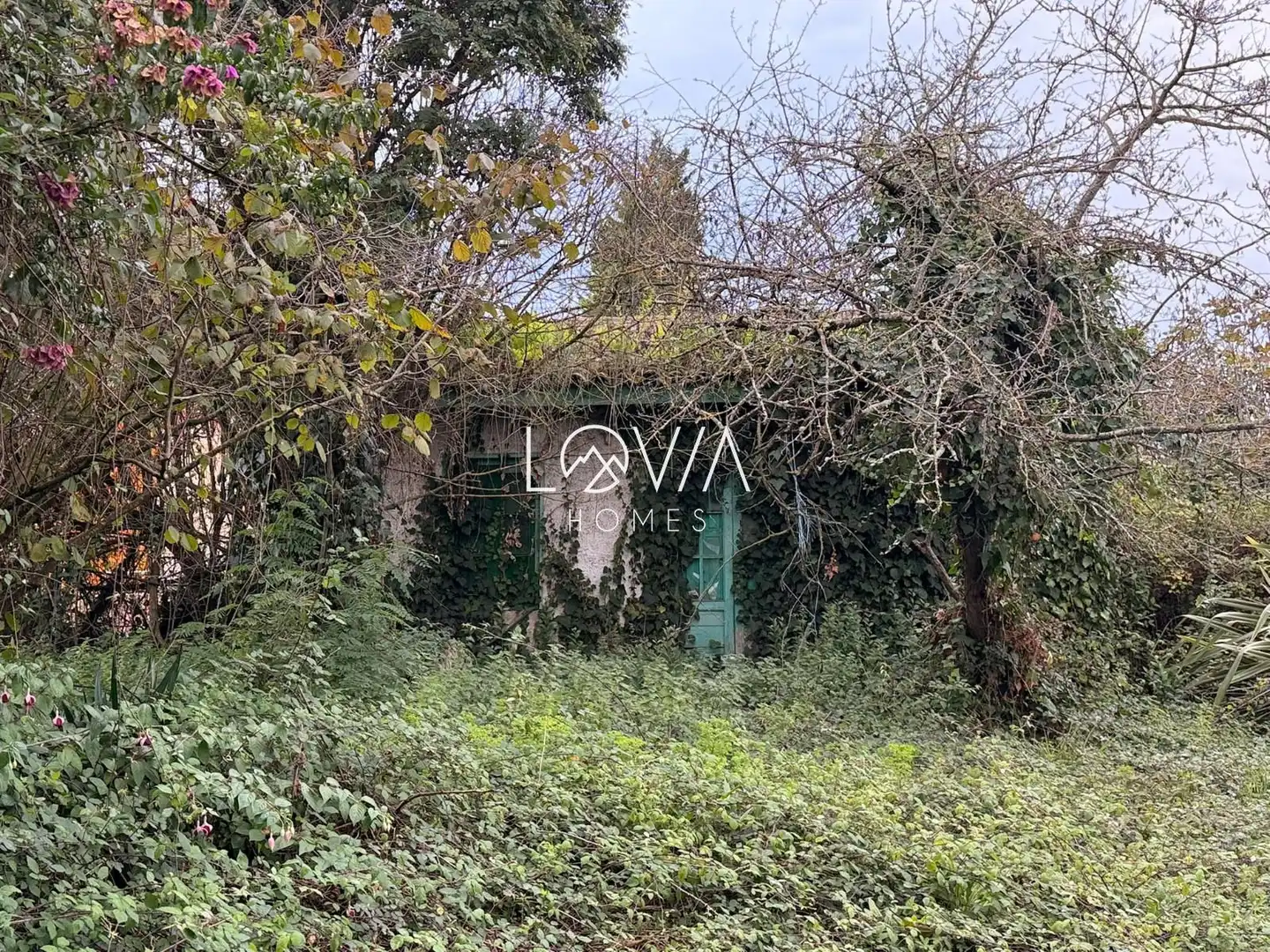 Casa o xalet en venda en El Carbayedo - El Quirinal