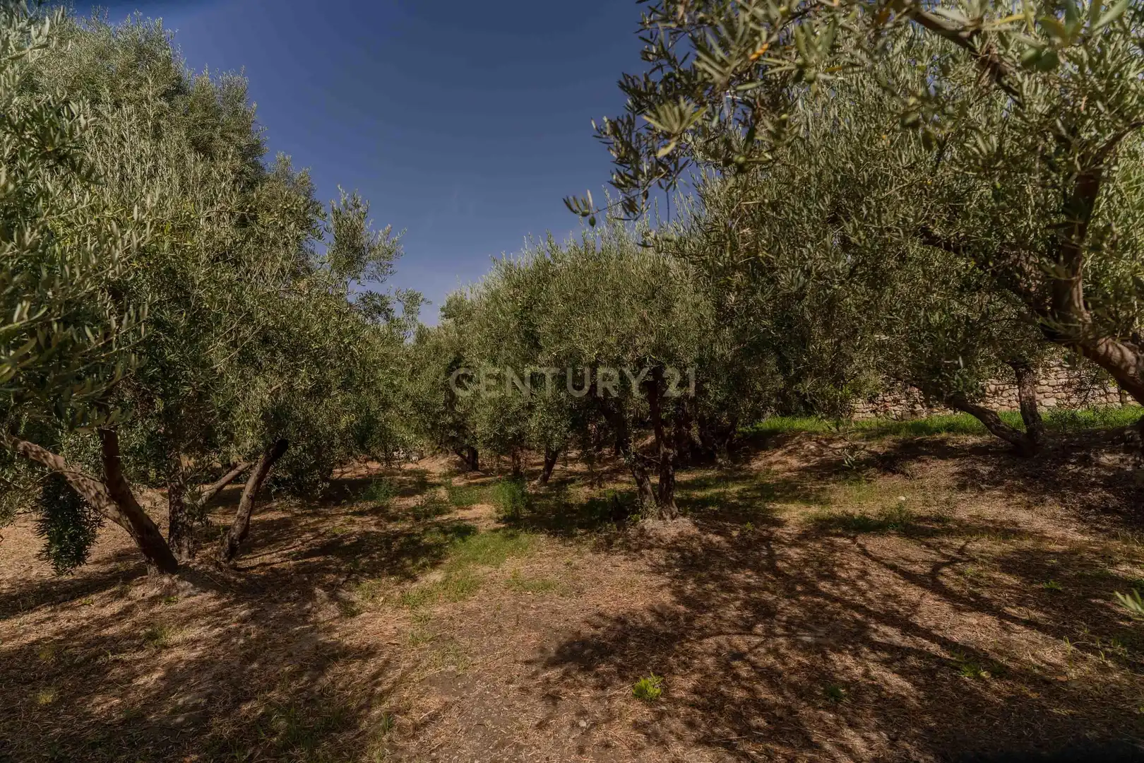 Houses for sale in Órgiva  with Private garden and Swimming Pool
