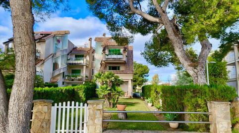 Foto 2 de Pis de lloguer a Port d'Alcúdia - Platja d'Alcúdia, Alcúdia