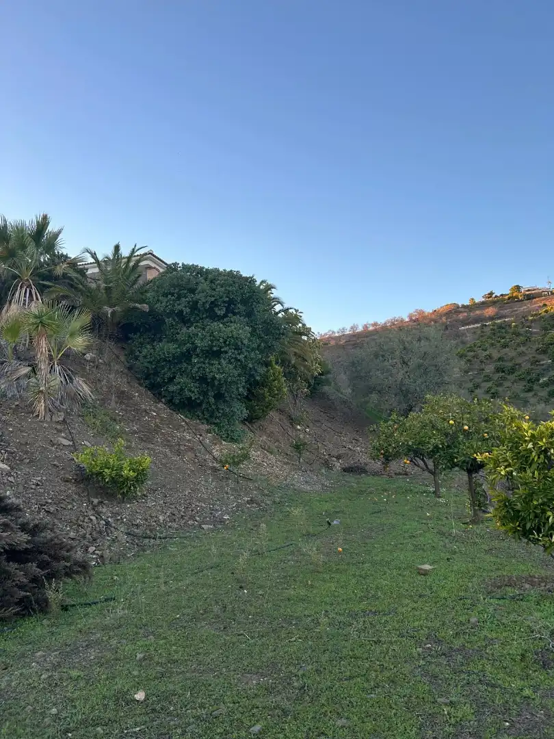 Finca rústica en venda en Macharaviaya amb Terrassa, Traster i Piscina