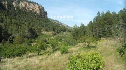 Finca rústica en venta en Paüls con agua de fuente, immagine 4