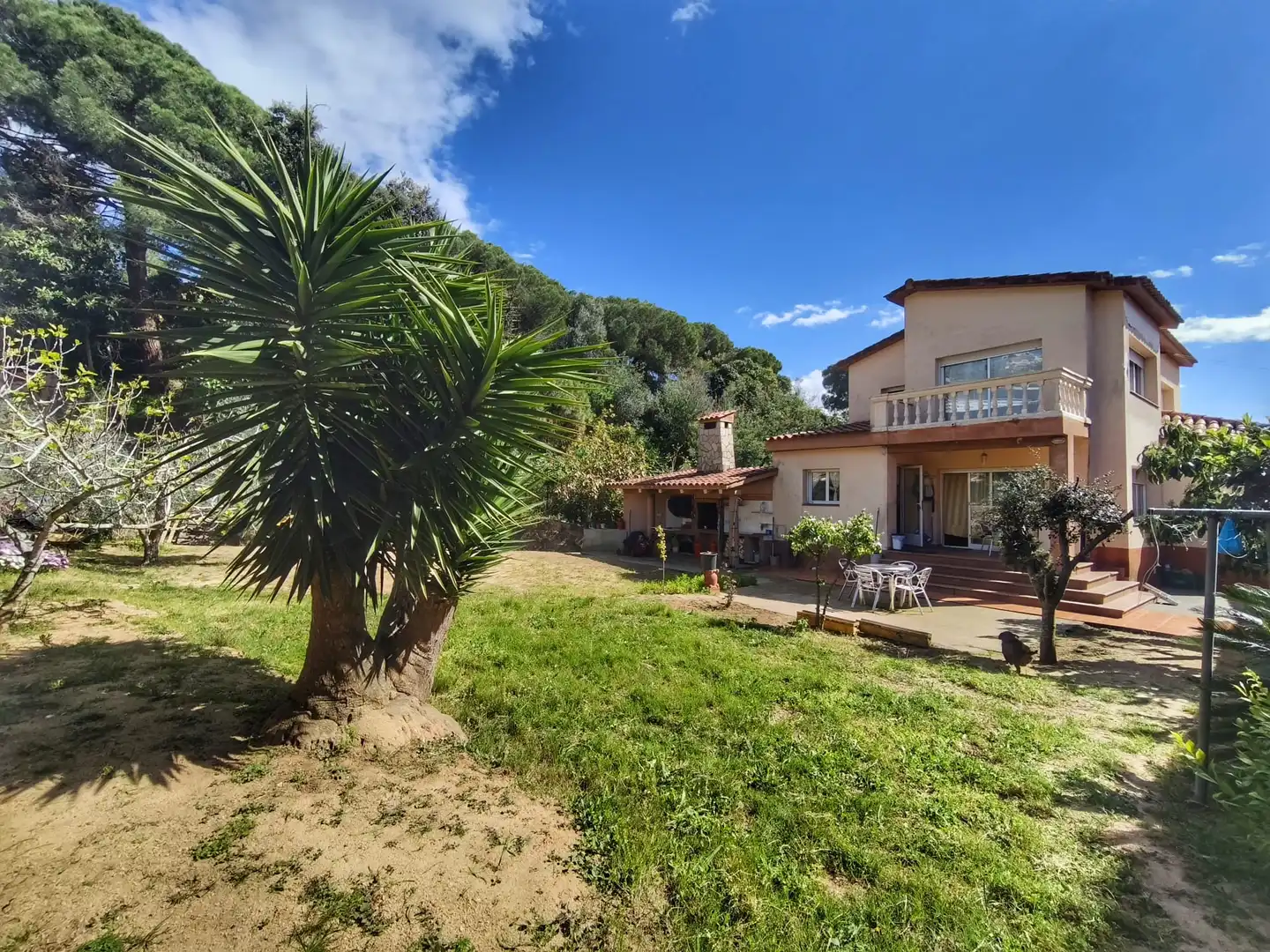 Casa o chalet en venta en Lloret de Dalt, Roca Grossa