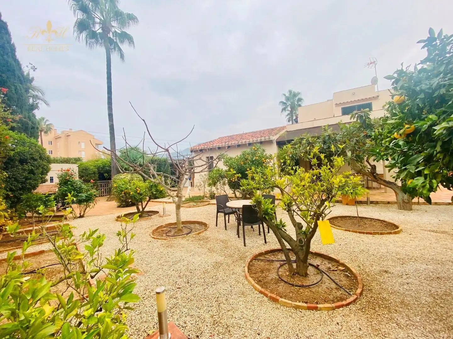 Casa o chalet de alquiler en CAMINO VIEJO DE ALTEA, L'Albir