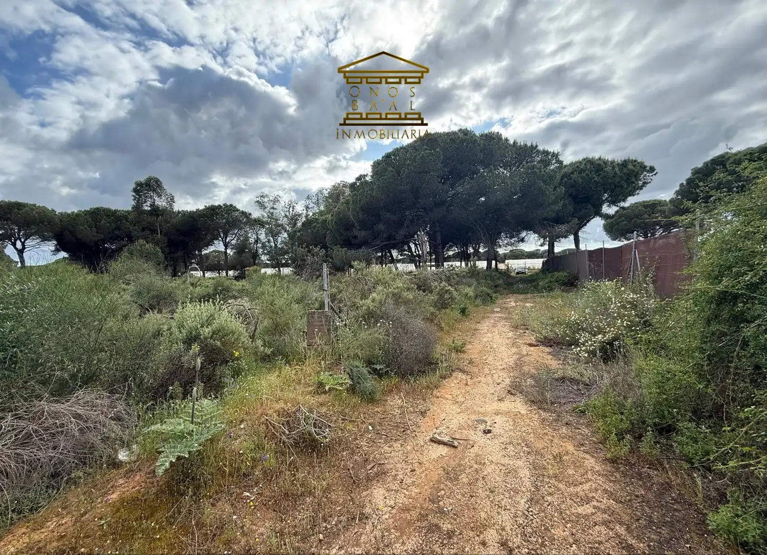 Terreno en venta en Almonte
