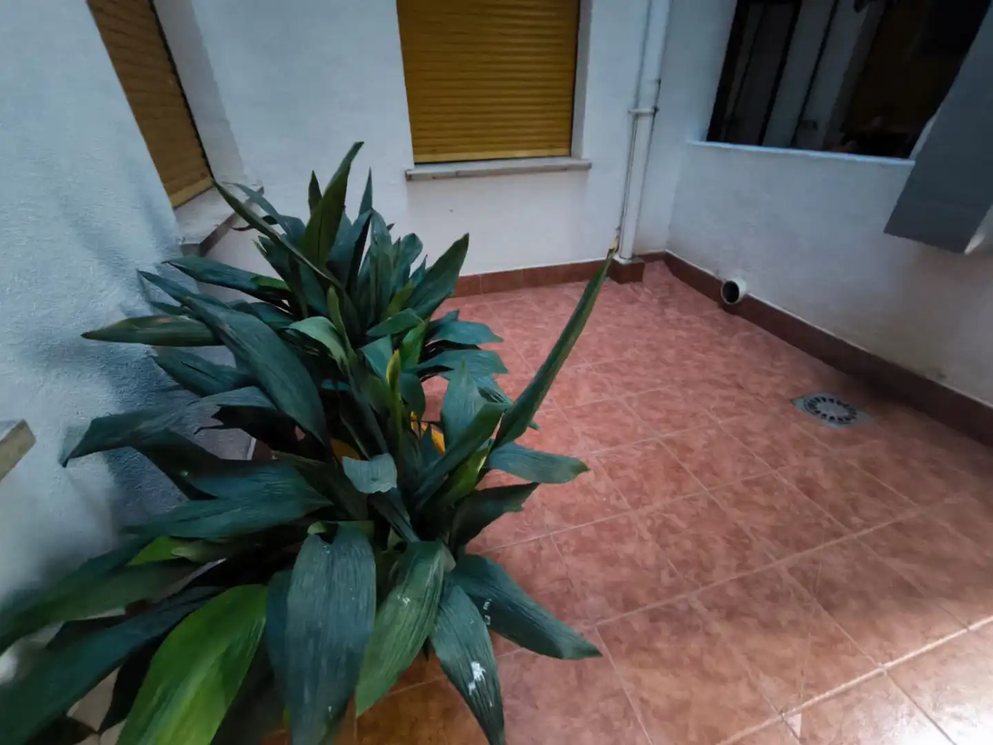 Wohnung mit Terrasse zum Verkauf in Valdepeñas, imagen 24
