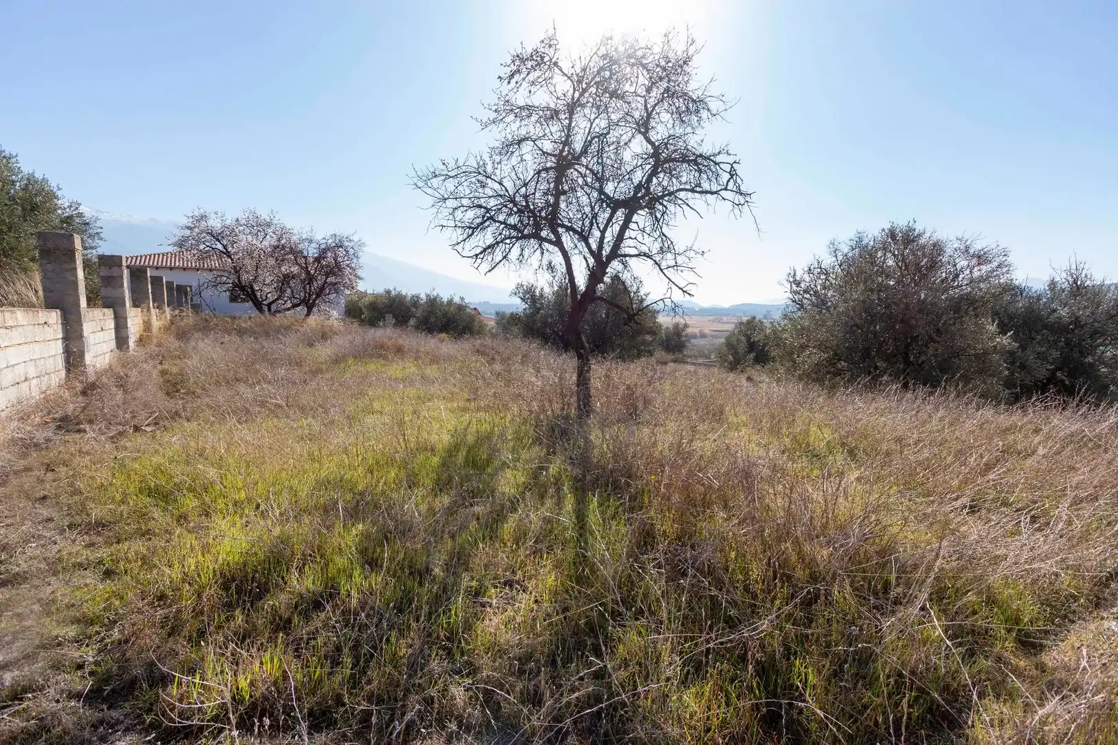 Residential land for sale in Avenida de Andalucía 201, imagen 2