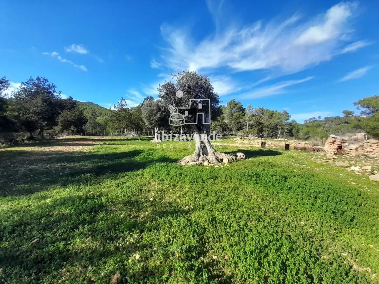 Houses for sale in Sant Joan de Labritja  with Furnished