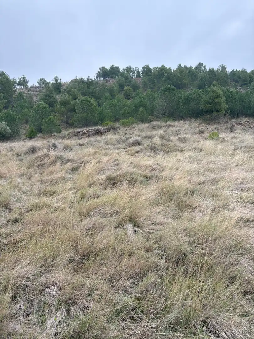 Terreno en venta en Lardero