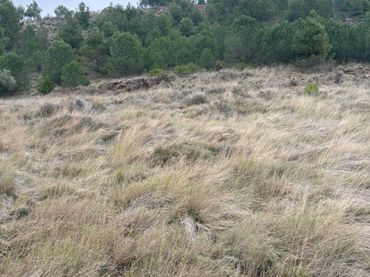 Terreno rustico in vendita a Lardero