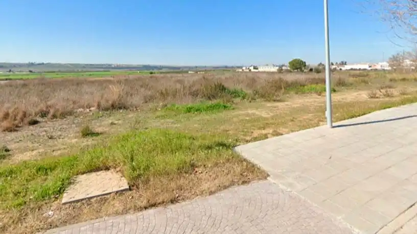 Residencial en venta en Carrión de los Céspedes