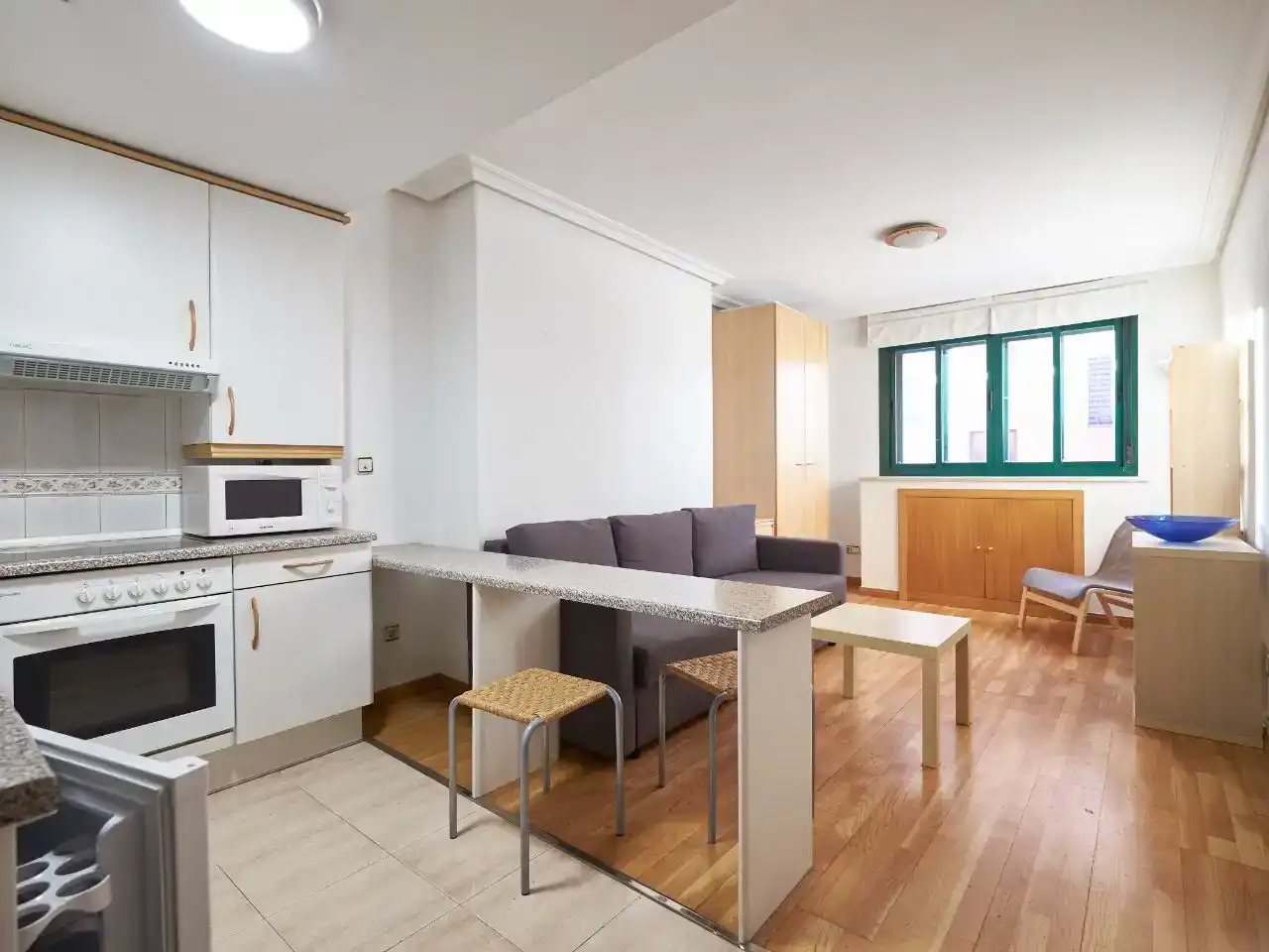 Sala d'estar de Estudi en venda en Madrid amb Aire condicionat, Jardí privat i Parquet