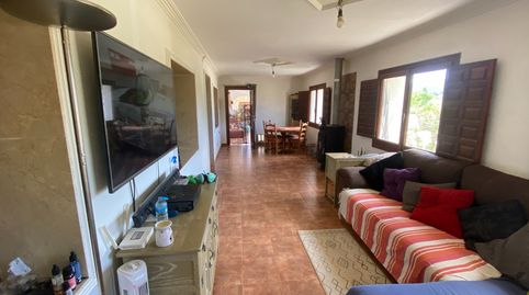 Oportunidad única! Vivienda con principal y 2 apartamentos, gran parcela, piscina Te presentamos esta magnífica propiedad ubicada, imagen 4