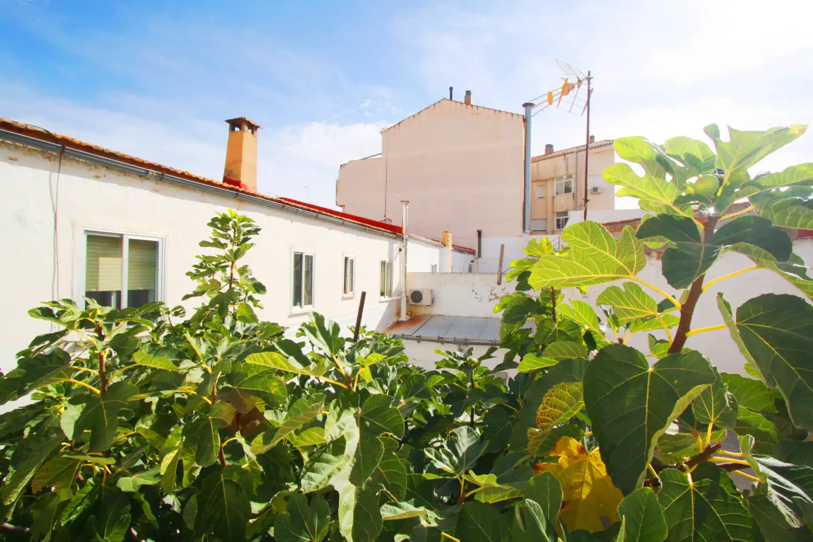 Vista exterior de Casa o xalet en venda en Albacete amb Calefacció, Terrassa i Traster