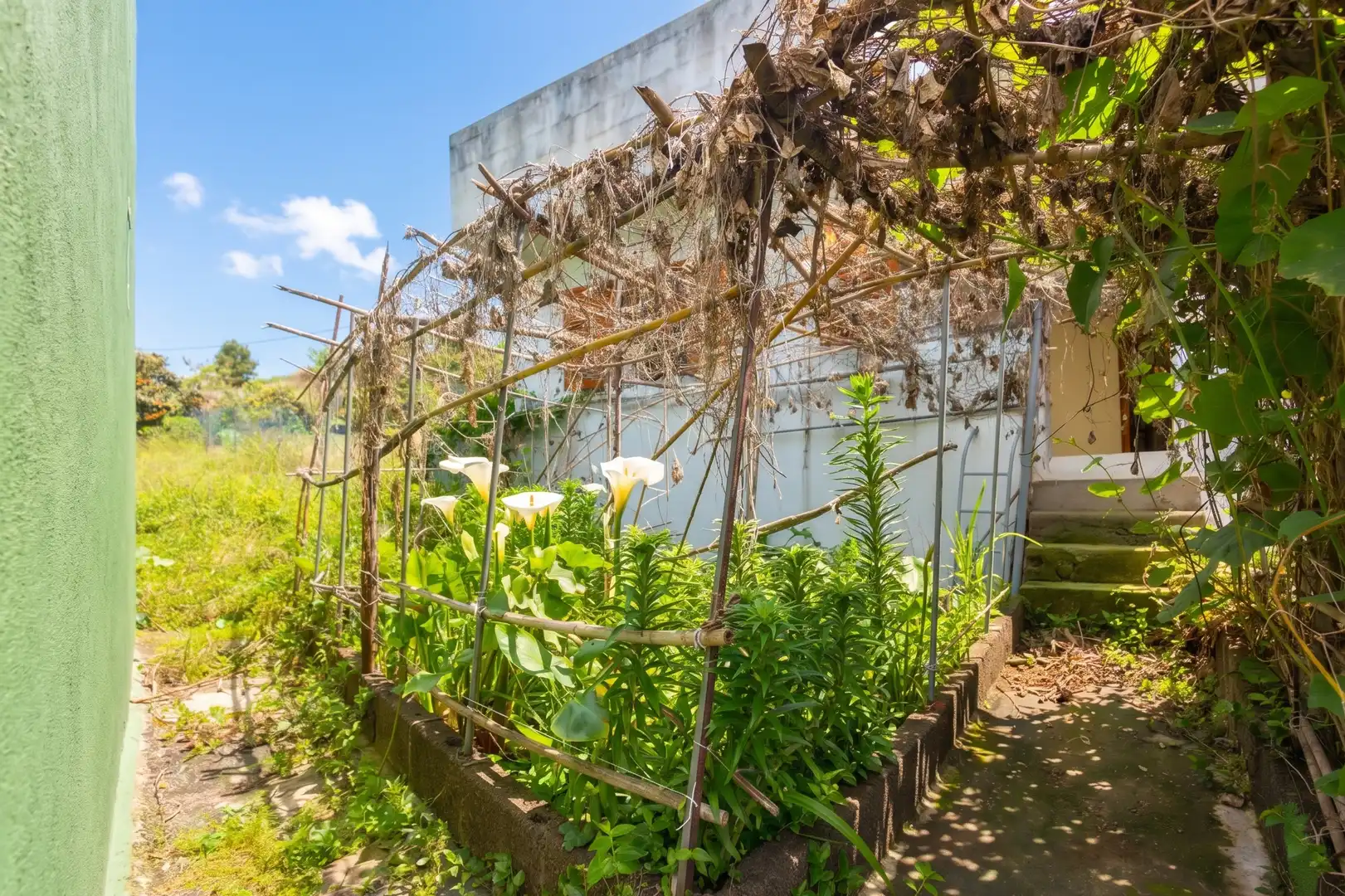 Jardí de Casa o xalet en venda en Icod de los Vinos