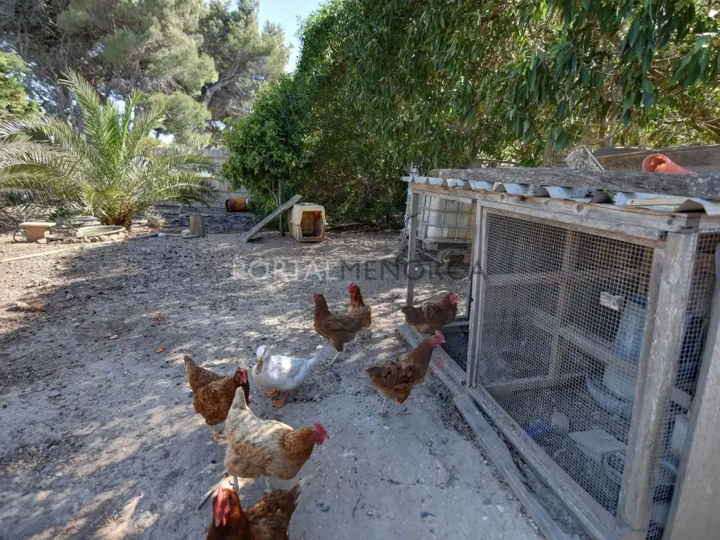 Chalet con piscina en venta en Sant Climent - Es Canutells, imagen 37