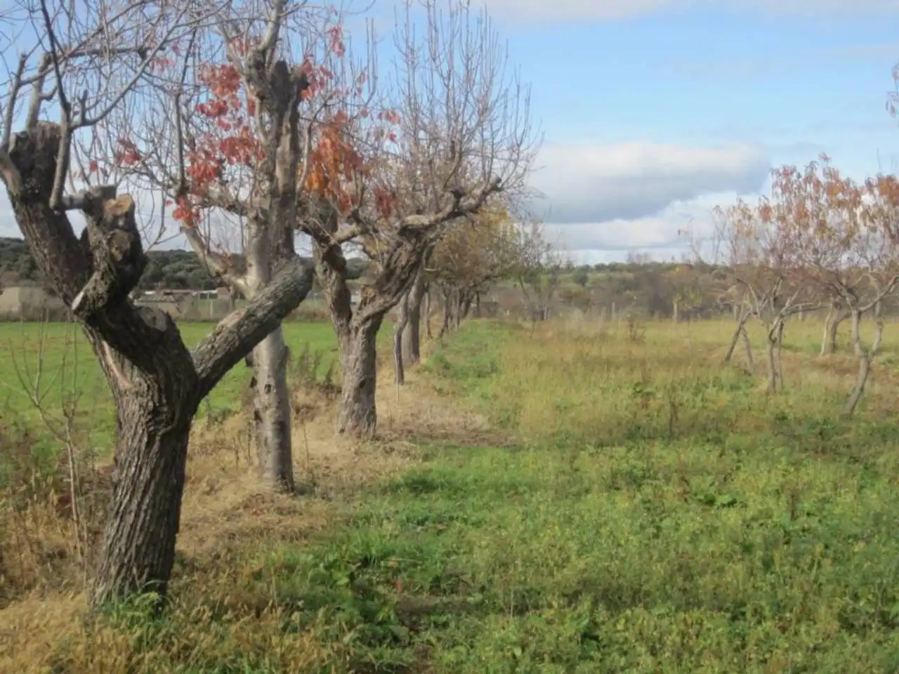 Terreno residencial en venta en Carretera AGUEDA, imagen 11