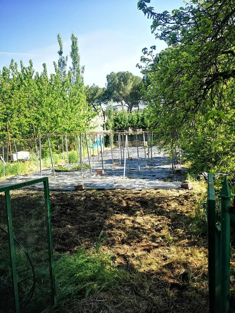 Garden of Country homes for sale in Valladolid  with Swimming Pool