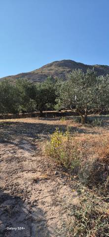 Terreno en Venta en Lagunilla del Jubera