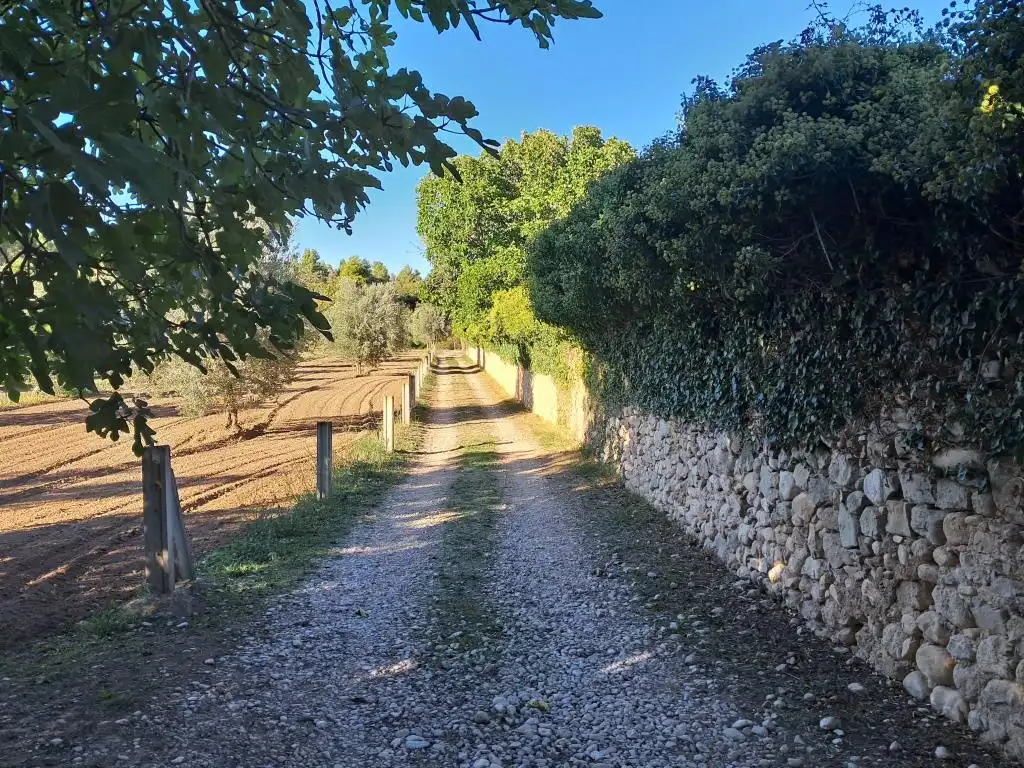 Rural land for sale in Zn Diseminats 8, imagen 4