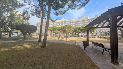 Foto 2 de Pis en venda a Playa Muchavista, El Campello