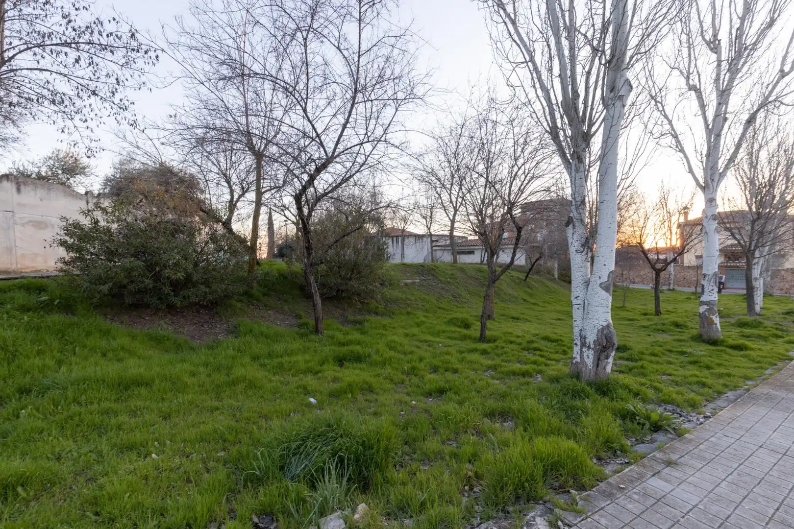 Residential land for sale in Calle Agustin Sanchez Porcel 9, imagen 9