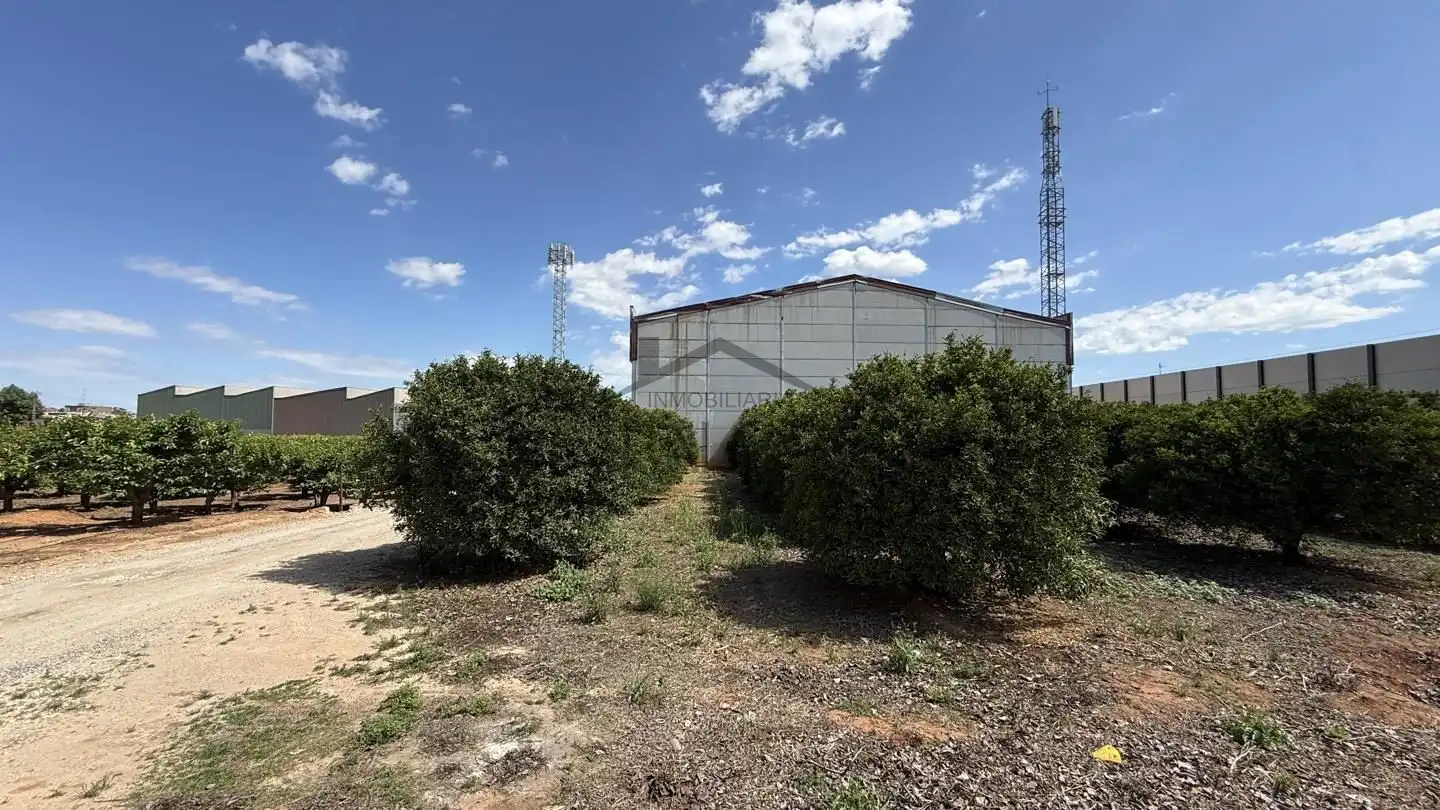Exterior view of Industrial land for sale in La Pobla Llarga