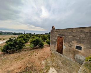 Terreny industrial en venda en Alcanar