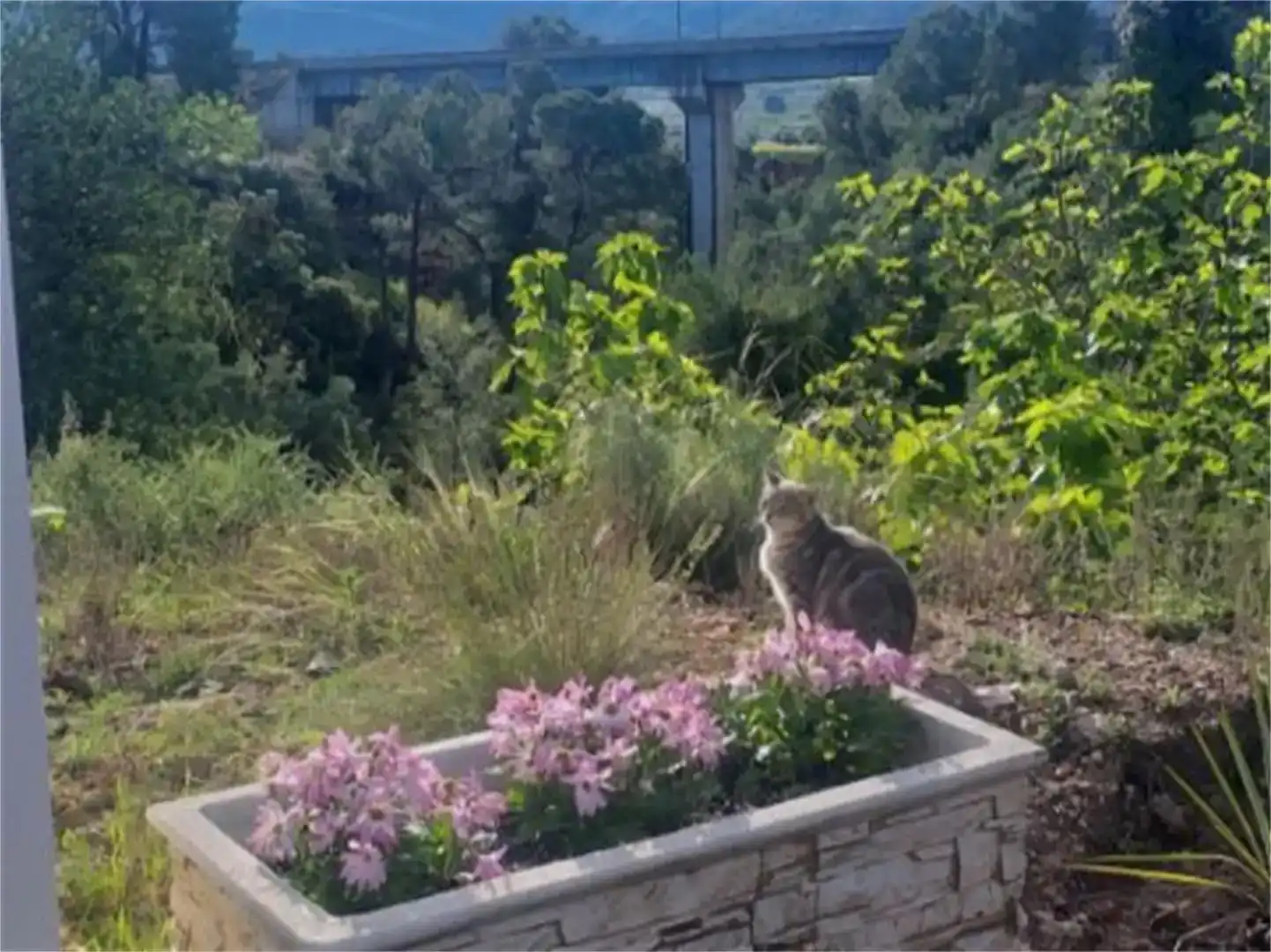 Jardí de Pis en venda en Vallada amb Jardí privat, Piscina i Moblat