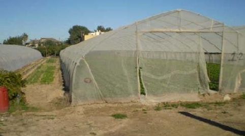 Foto 2 de Terreno en venta en Cl de L Esglesia Nº Sn, Mareny de Barraquetes, Sueca