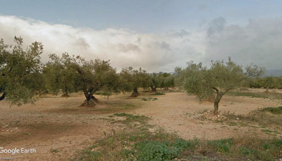 Foto 1 de Terreno en venta en N/a, -1, San Rafael del Río, Castellón