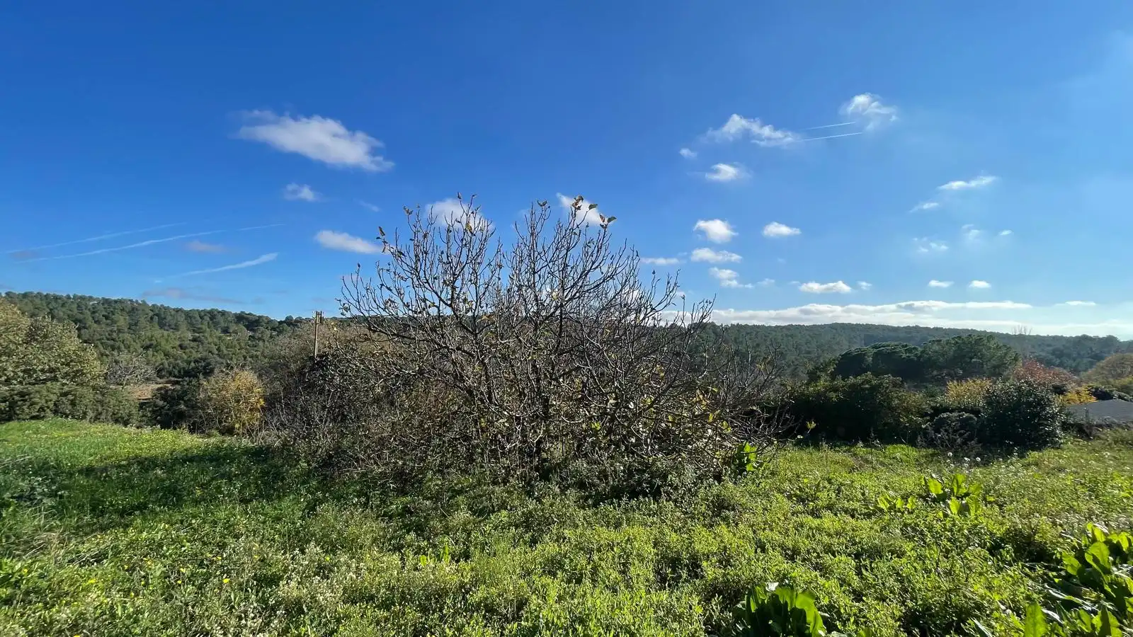 Finca rústica en venta en Vilopriu con Jardín privado y Terraza