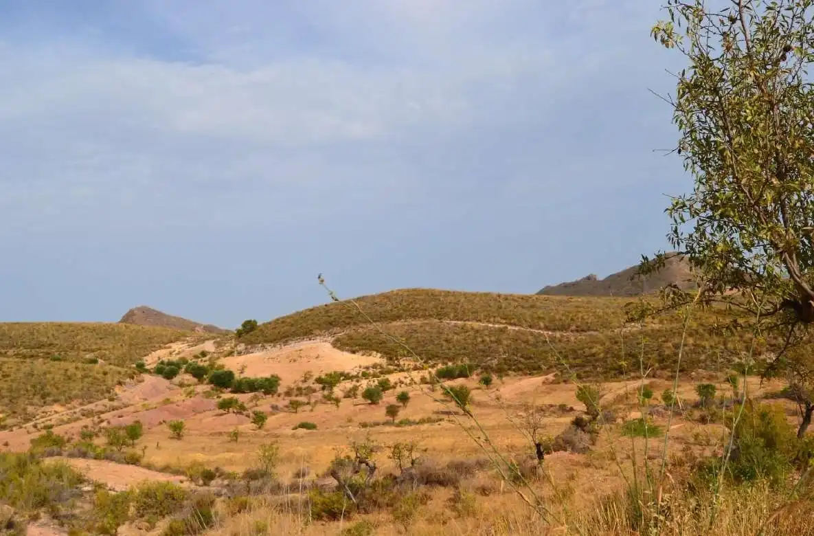 Country homes for sale in Lorca  with Private garden