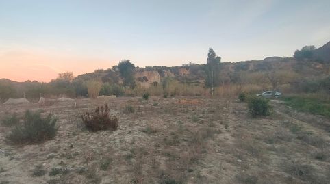 Terreno plano con agua, immagine 5