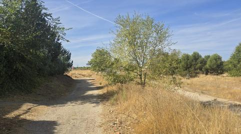 Photo 3 of Industrial land for sale in  Sector I-10 H, Parc, La Dehesa - El Pinar, Madrid