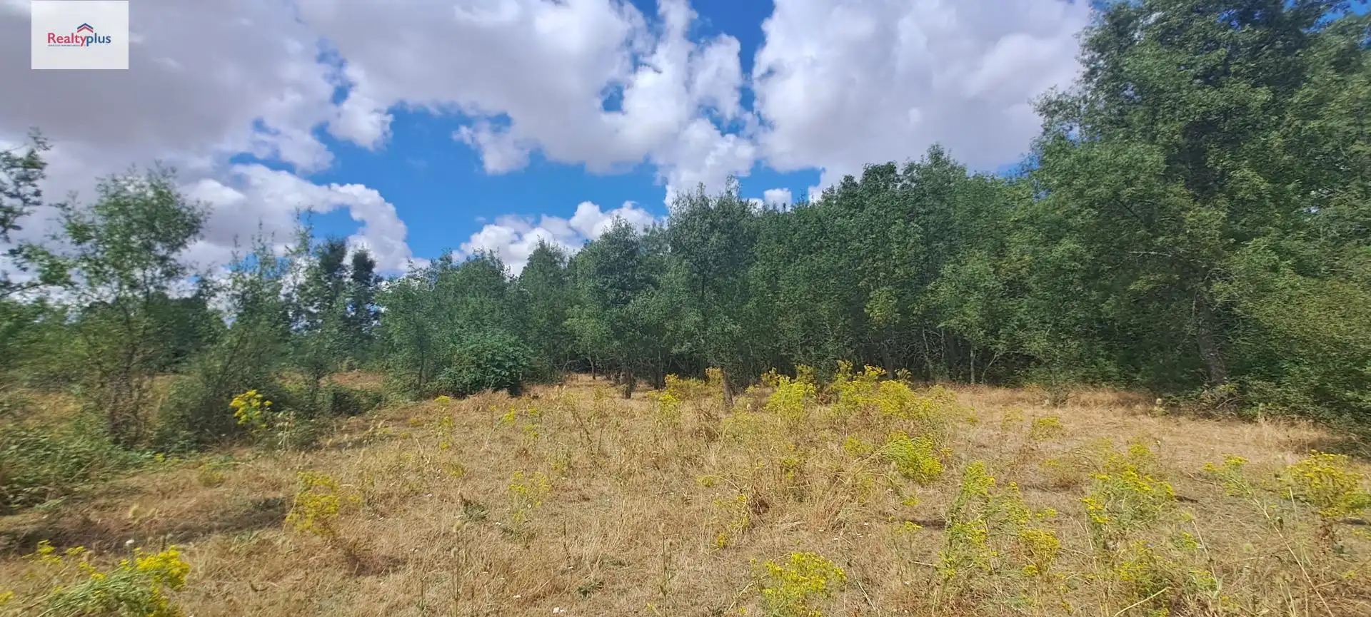 Terreni e lotti in vendita a Sotosalbos, imagen 4