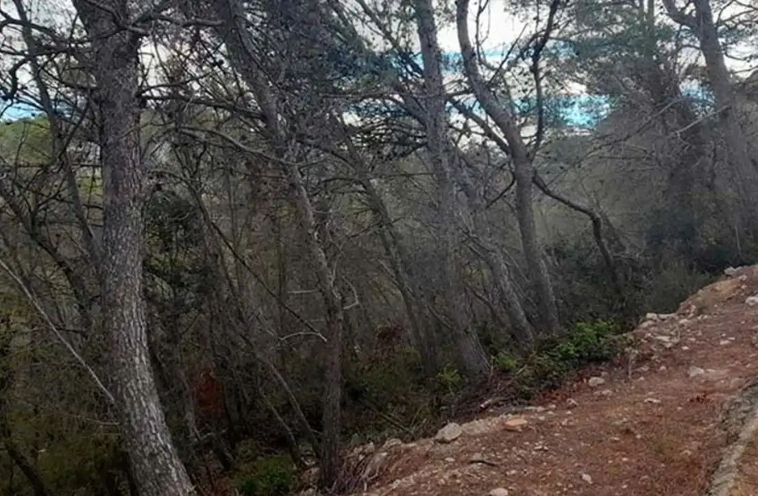 Lands and plots for sale in miranda 38, imagen 19