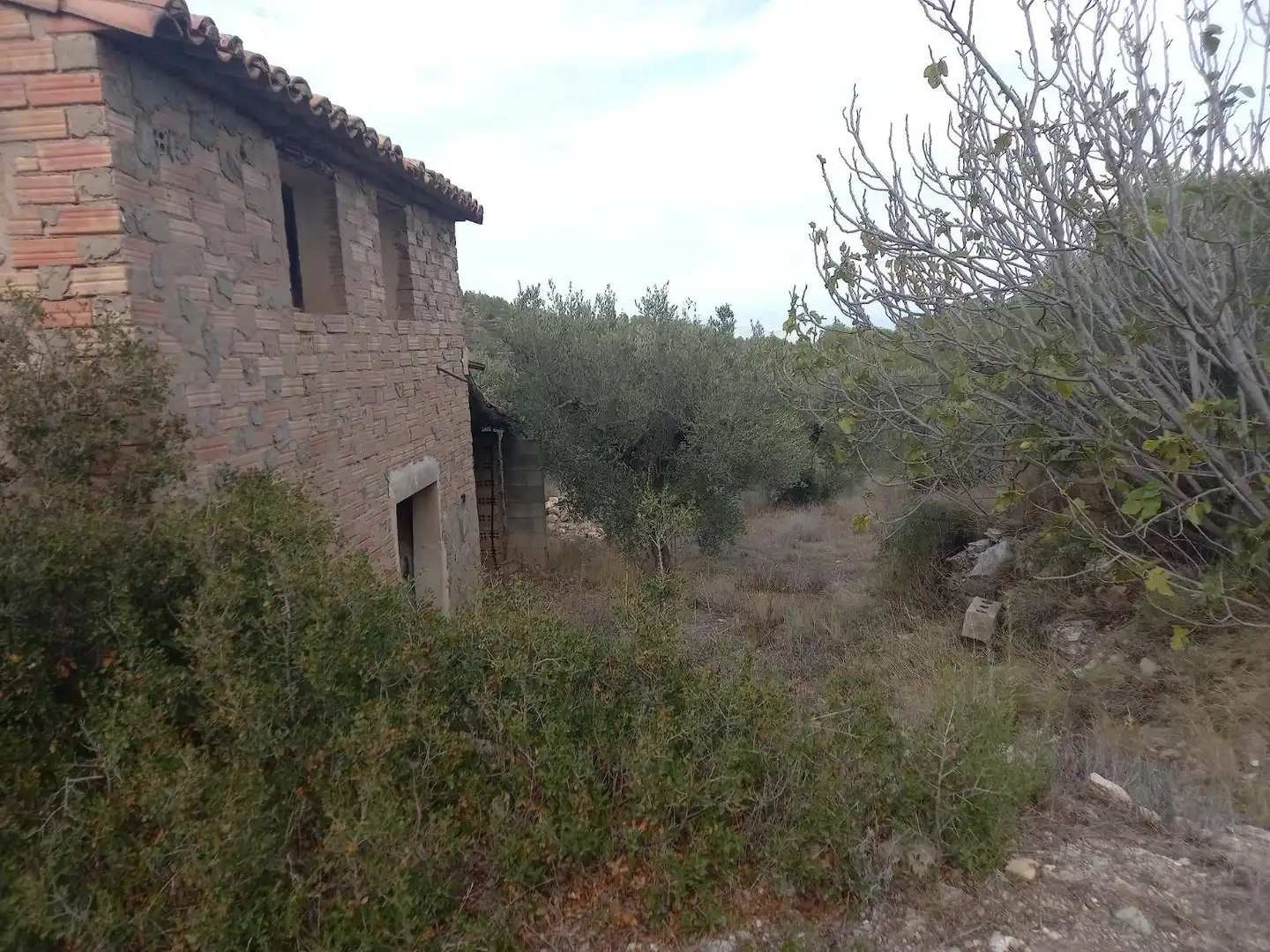 Rural land for sale in Benissanet, imagen 17
