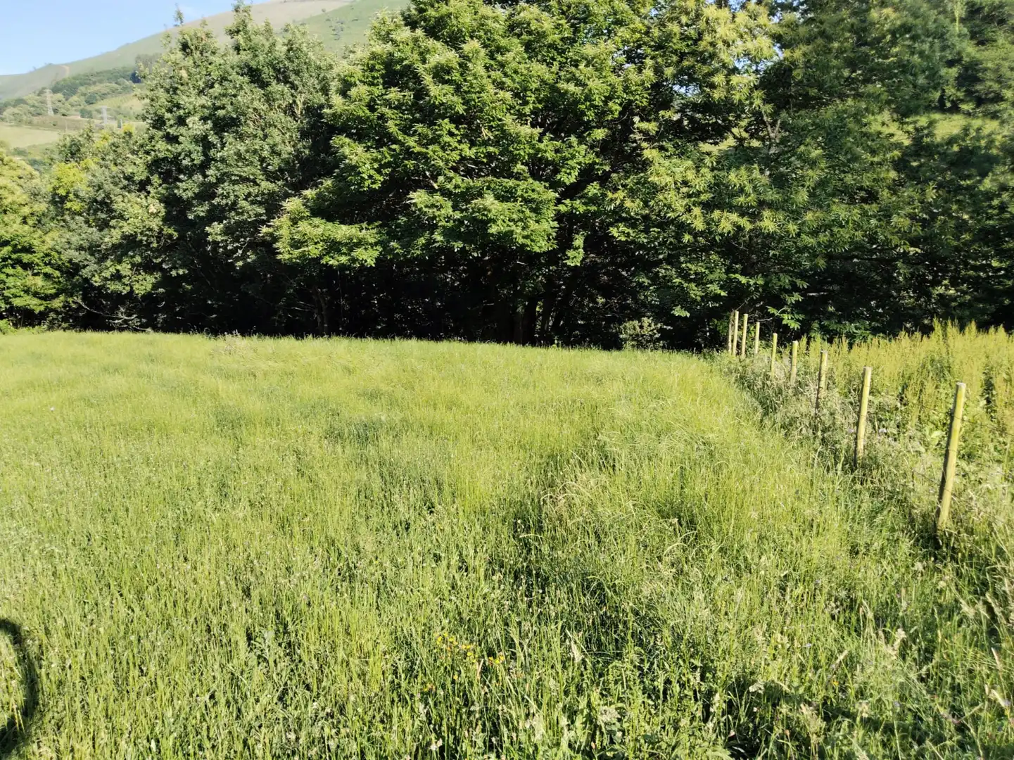 Residencial en venda en Rionansa