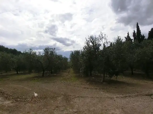 Country house for sale in Bítem, imagen 8